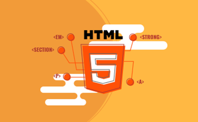  O guia completo para entender HTML5